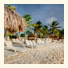 Plaza Resort Bonaire photo