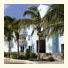 Dolphin Suites photo