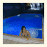 City Code Spa photo