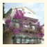 Apartments Pavlovic photo