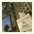 Hilton Dubai Jumeirah photo