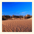 Bab Al Shams Desert Resort and Spa photo