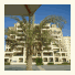 Emirates Holiday Homes photo