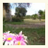 La Posada Rural photo