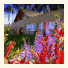 Las Ramblas De Puerto Manzano / Suite Boutique Villa La Angostura photo