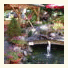 Wanderhotel Grüner Baum photo