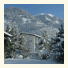 Pension Reiter photo