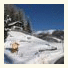Haus am Waldrand photo