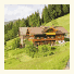 Bio-Bauernhof Nichlgut photo