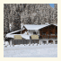 Haus Obermoos photo