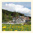 Vital-Hotel-Styria