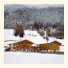 Pension Margretenhof photo