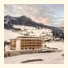 Hotel Nesslerhof photo