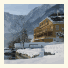 Seehotel Grüner Baum photo