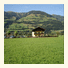 Haus Helderman photo