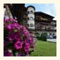 Hotel Burgstall photo