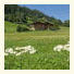 Ladestatthof photo