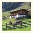 Urlaub auf der Alm photo