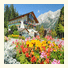 Hotel Annelies photo