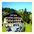 Alpenhotel Erzherzog Johann photo