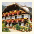 Landhaus Schossleitner photo
