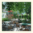 Hotel-Gasthof Botenwirt