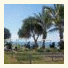 Coral Cove Resort photo