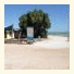 Monkey Mia Wildsights Beach Units photo