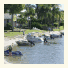 Maroochy River Bungalows