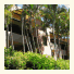 Bermuda Villas photo