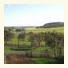 Daysy Hill Country Cottages