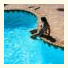 Jetty Motel