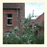B&B Pieter Pauwel