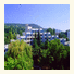 Amelia Hotel photo