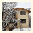 Ski Villa Bizeff photo
