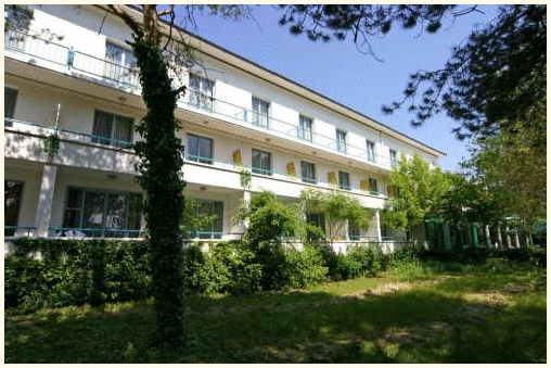 Bor Hotel photo