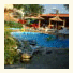 Tropicana Hotel photo