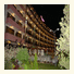 Flamingo Hotel photo