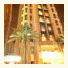 Palm Suite Luxury Furnished Apartment