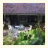 Pousada Fazenda São Bento photo