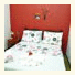Cabo Frio Central Hostel photo