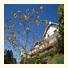 Pousada Constellation Lodge photo