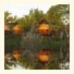 Amazon Turtle Lodge