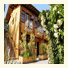 Lonier Ilha Inn Flats photo