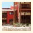 Flat Concha Tropical photo