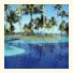 Kiaroa Eco-Luxury Resort