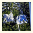 Patachocas Eco Resort photo