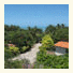 Stay Cool Bungalow photo