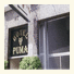 Hotel Puma photo