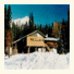 Bumpers Inn photo